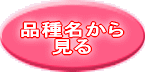 i햼Ō